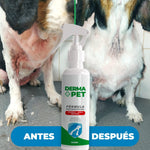 🐶🐱DermaPet™ Adiós dolor e irritación por alergias + Envío Gratis🎁