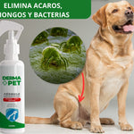 🐶🐱DermaPet™ Adiós dolor e irritación por alergias + Envío Gratis🎁